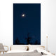 Moon and Venus Conjunction Wall Decal Design 2