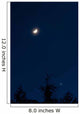 Moon and Venus Conjunction Wall Decal Design 2