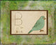 B Is for Bird Wall Decal