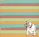 Bulldog Wall Decal