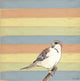 Little Brown Bird Wall Decal