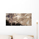Asteroids Heading toward Earth Wall Decal