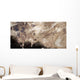 Asteroids Heading toward Earth Wall Decal