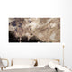 Asteroids Heading toward Earth Wall Decal