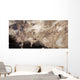Asteroids Heading toward Earth Wall Decal