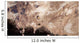 Asteroids Heading toward Earth Wall Decal