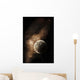 Planet Full Massive Mountain Wall Decal