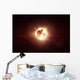 Dying Star Which Will Wall Decal