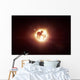 Dying Star Which Will Wall Decal
