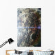 Orbital Sunrise Wall Decal