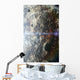 Orbital Sunrise Wall Decal