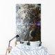 Orbital Sunrise Wall Decal