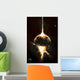 Concentrated Gamma Ray Strikes Wall Decal