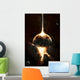 Concentrated Gamma Ray Strikes Wall Decal