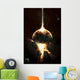 Concentrated Gamma Ray Strikes Wall Decal