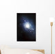 Artist's Concept Recently Discovered Wall Decal