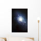 Artist's Concept Recently Discovered Wall Decal