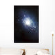 Artist's Concept Recently Discovered Wall Decal