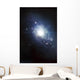 Artist's Concept Recently Discovered Wall Decal