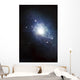 Artist's Concept Recently Discovered Wall Decal