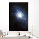 Artist's Concept Recently Discovered Wall Decal