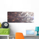 Aerial Planet Ripped Apart Wall Decal