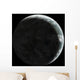 Artist's Concept Earth-like Planet Wall Decal