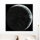Artist's Concept Earth-like Planet Wall Decal