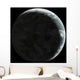 Artist's Concept Earth-like Planet Wall Decal