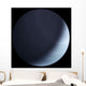 Artist's Concept Gas Giant Wall Decal