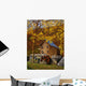 Autumn Sunshine Glade Creek Wall Decal