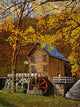 Autumn Sunshine Glade Creek Wall Decal