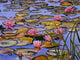 Water Lilies Wall Decal