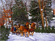 Sleigh bells Ring Wall Decal