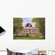 Athenaeum Wall Decal