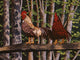 Roosters Wall Decal