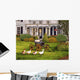 Gaggle Geese Porch Wall Decal