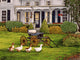 Gaggle Geese Porch Wall Decal