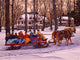 Sleighride 2001 Wall Decal