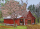 Country Barn Wall Decal