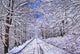 Road Less Traveled Wall Decal Design 2