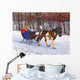 Painted Pony Wall Decal