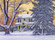 Morning Snow Wall Decal