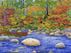 Stony Brook Wall Decal