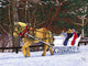 White Sleigh Wall Decal