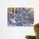 Cardinals Mailbox Wall Decal