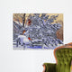 Cardinals Mailbox Wall Decal