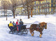 Horse-drawn Bobsled Wall Decal