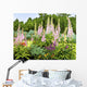 Ann Wall Decal