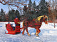 Antique Sleigh Wall Decal